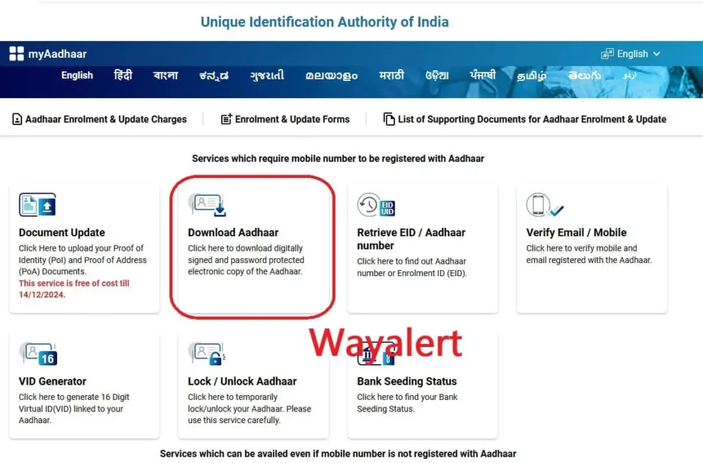 how to download aadhaar online portal