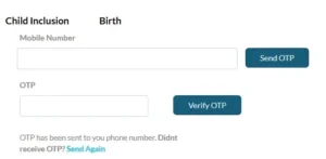 birth certificate name inclusion in Chennai portal