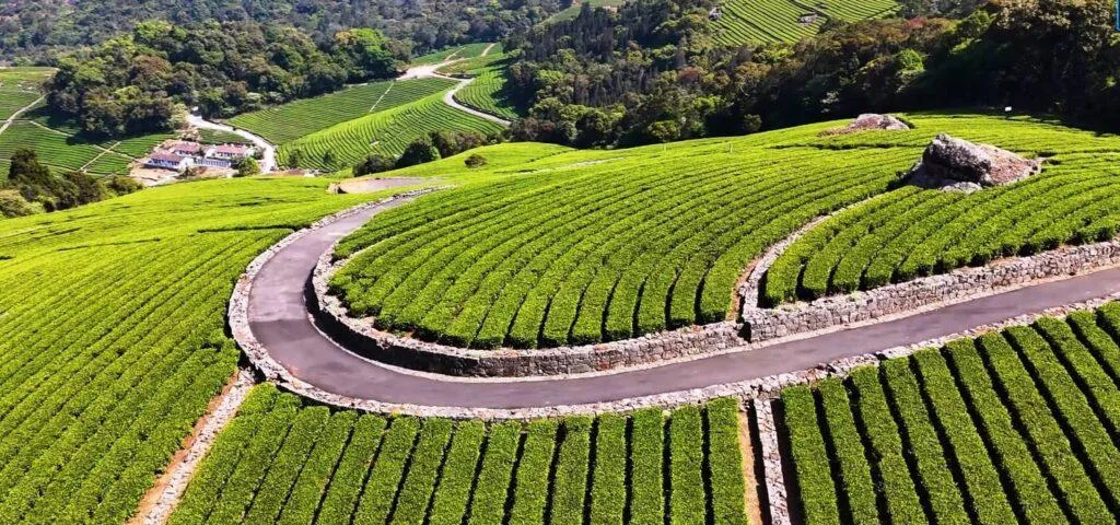 Ooty and Kodaikanal in Tamil Nadu