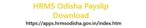 HRMS Odisha Payslip Portal